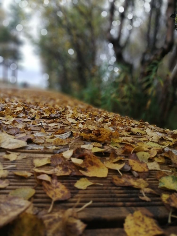 Фотография автора Татьяна Савранчук