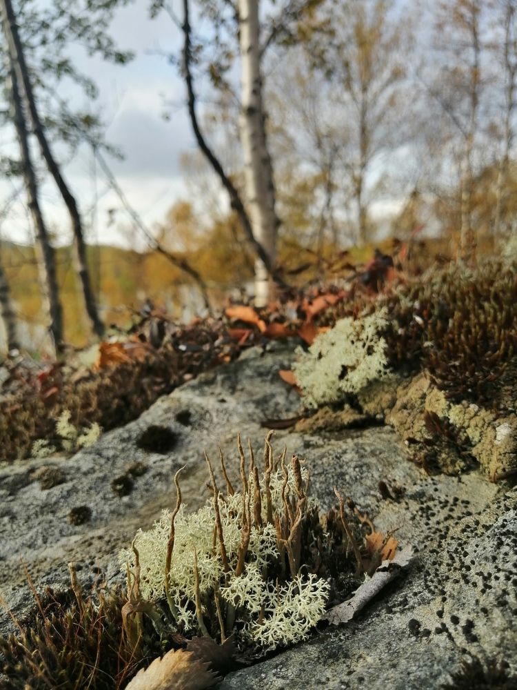 Фотография автора Татьяна Савранчук