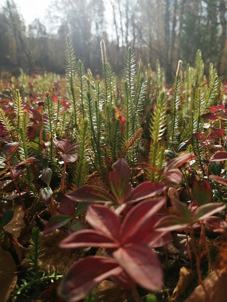 Фотография автора Татьяна Савранчук