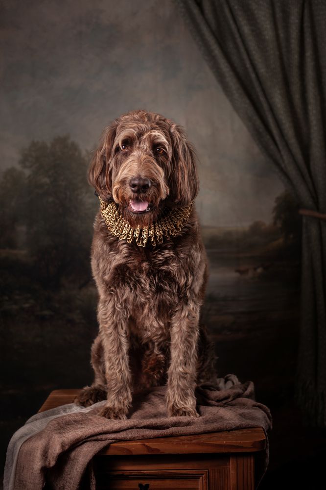 Photograph by Goené Gertrude