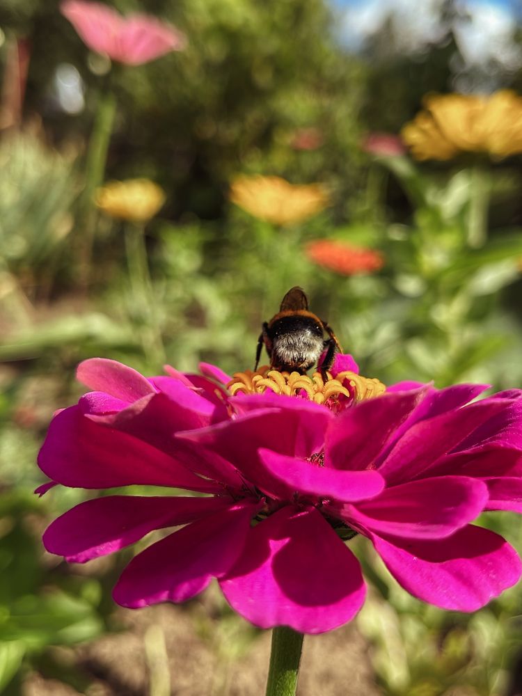 Photograph by Алиса Чугунова