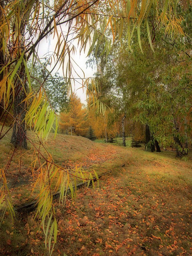 Photograph by Ирина Александрович