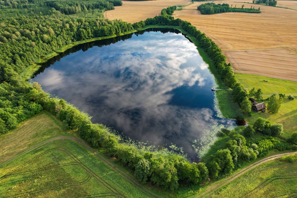 Photograph by артем