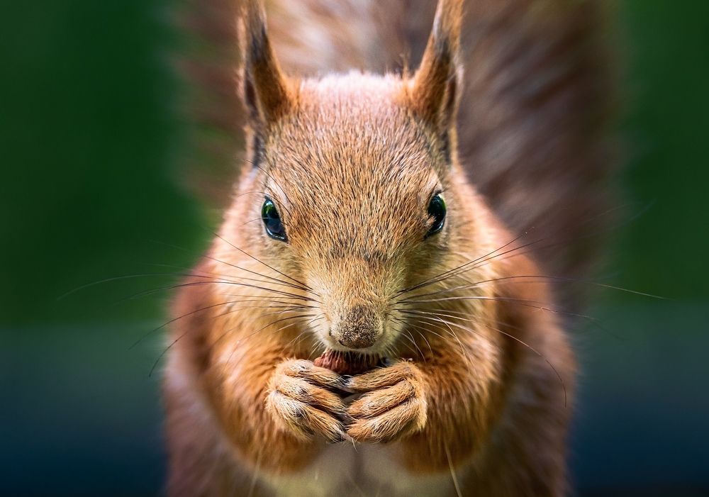 Фотография автора Helena Ivanova