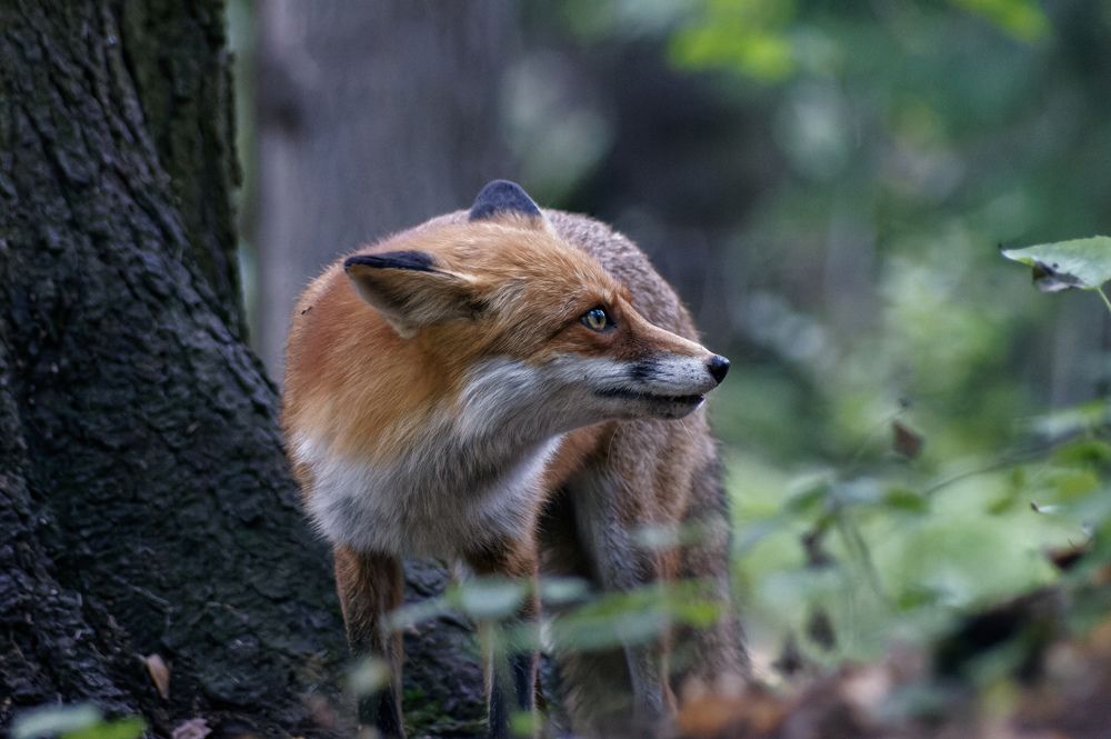 Photograph by Карина Заводчикова