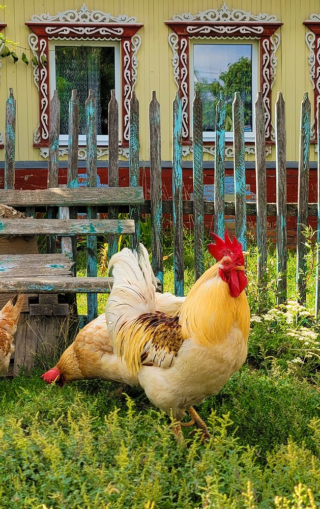 Photograph by Анна Вокуева