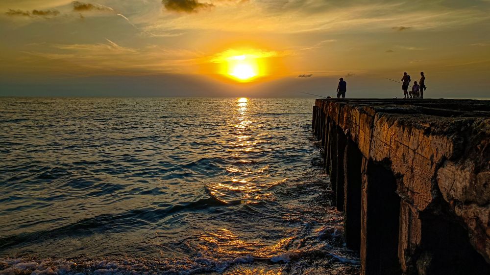 Photograph by Alex Kalpus