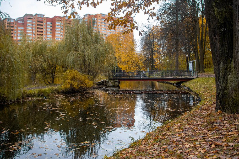 Photograph by Ксения Щукина