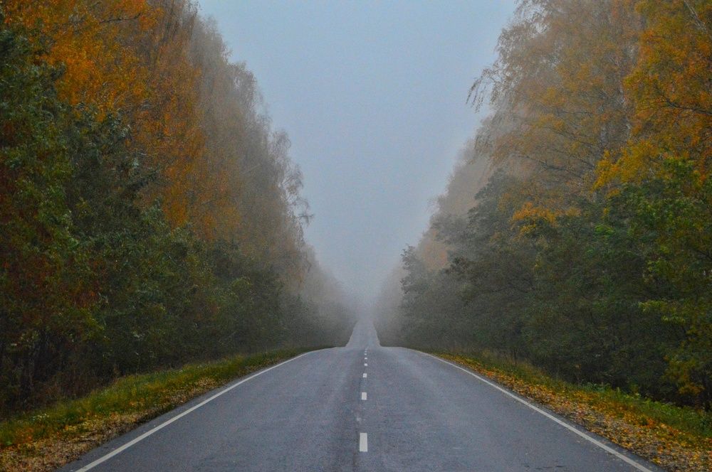 Photograph by Анна Богданова