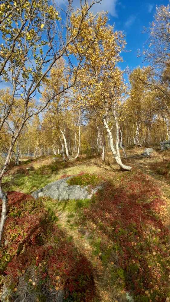 Фотография автора Татьяна Савранчук