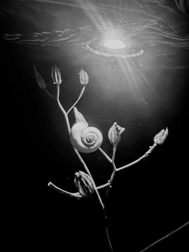 Photograph by Ирина Тихая