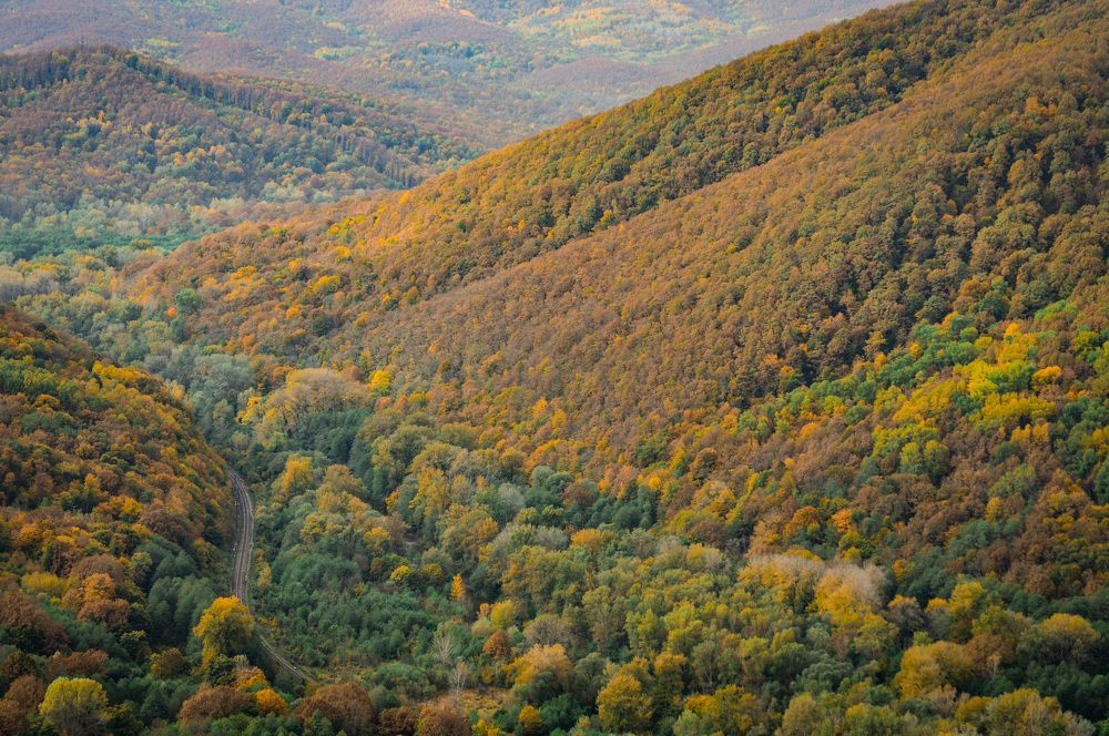 Затерянная в горах
