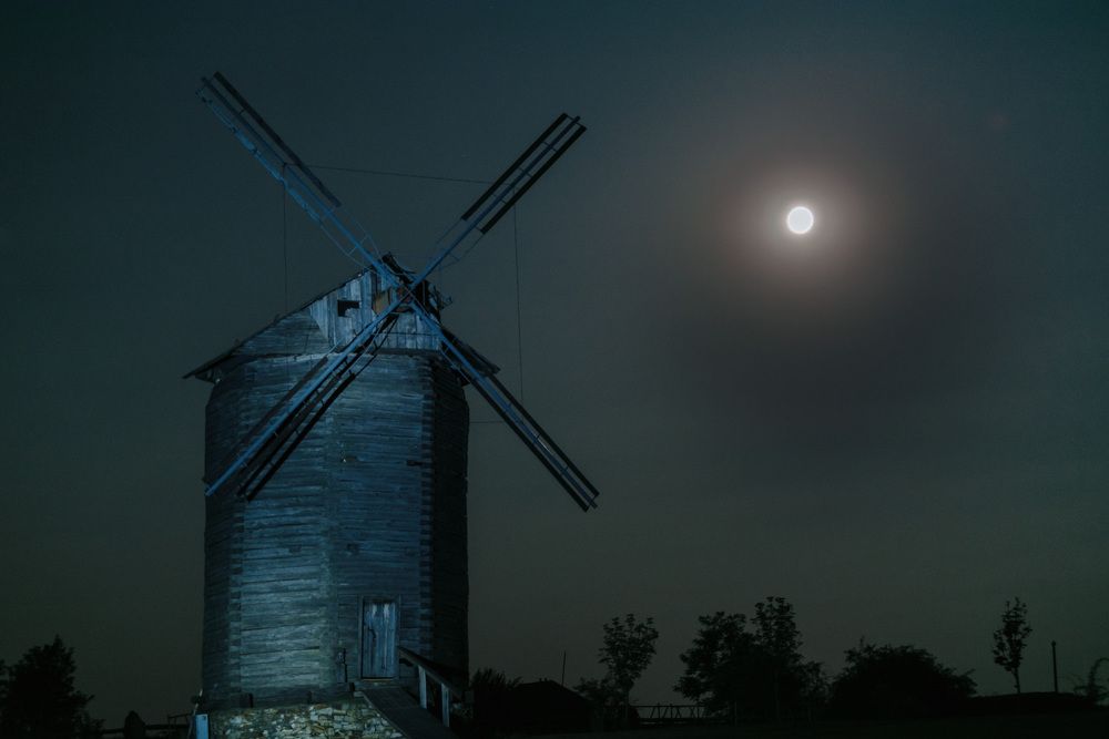 Photograph by Сапронова Марина