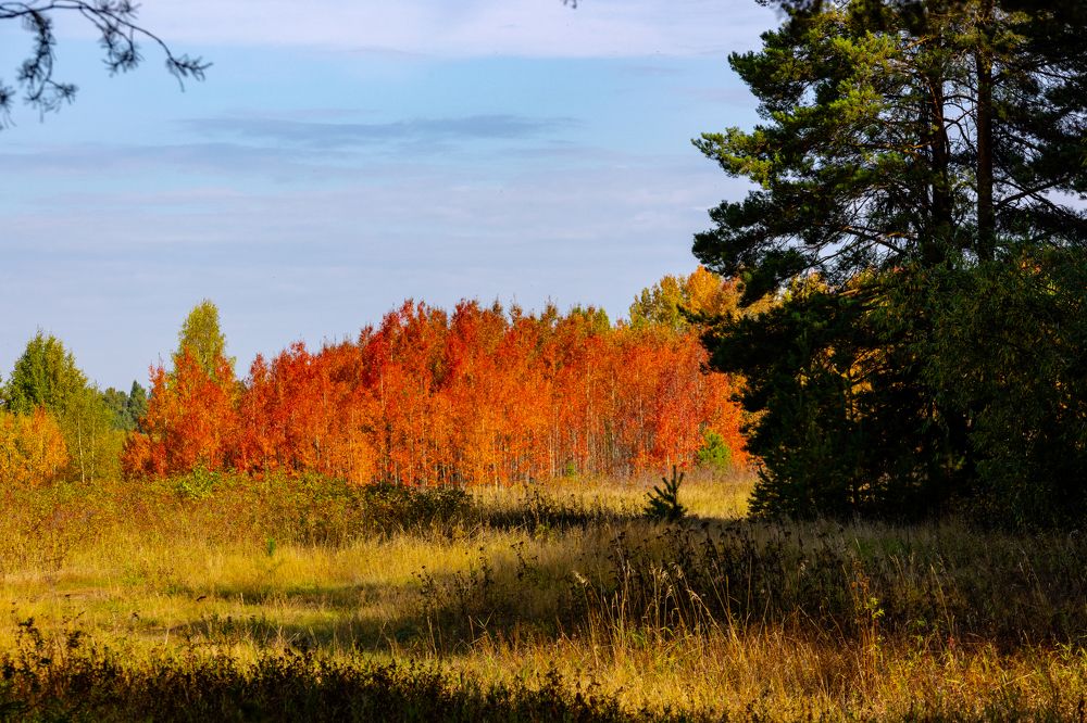 Photograph by Alexandr