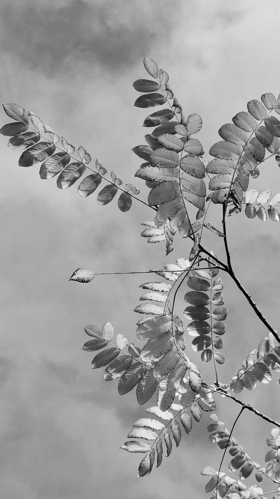 Фотография автора Наталья Николаева