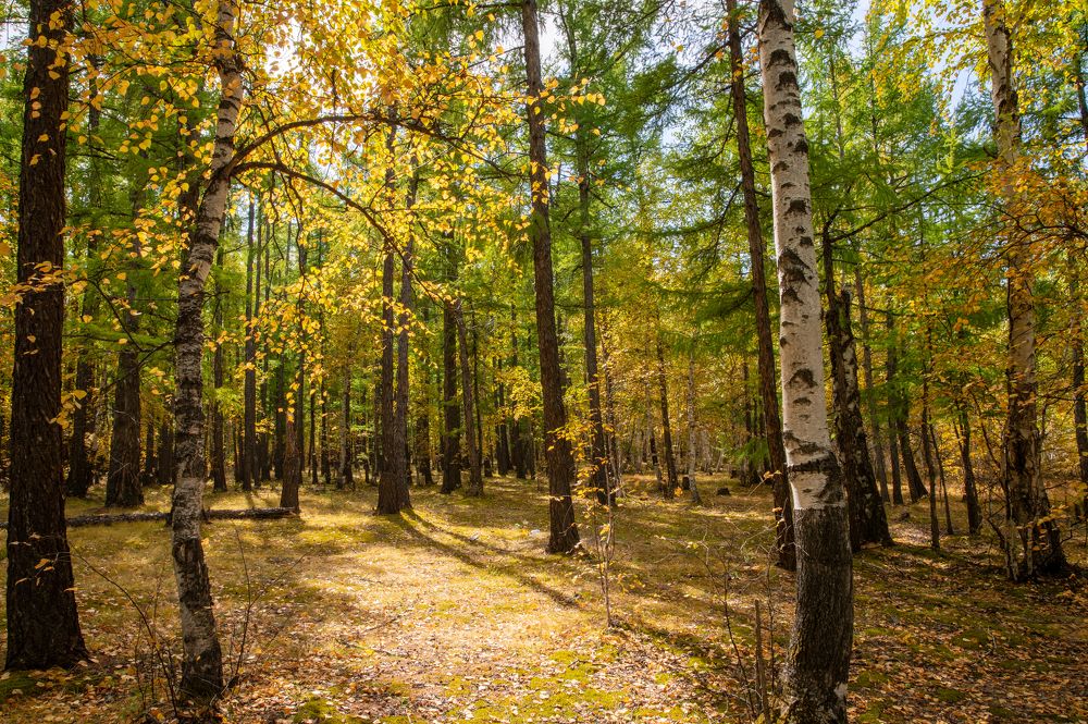 Photograph by Алексей Александрович