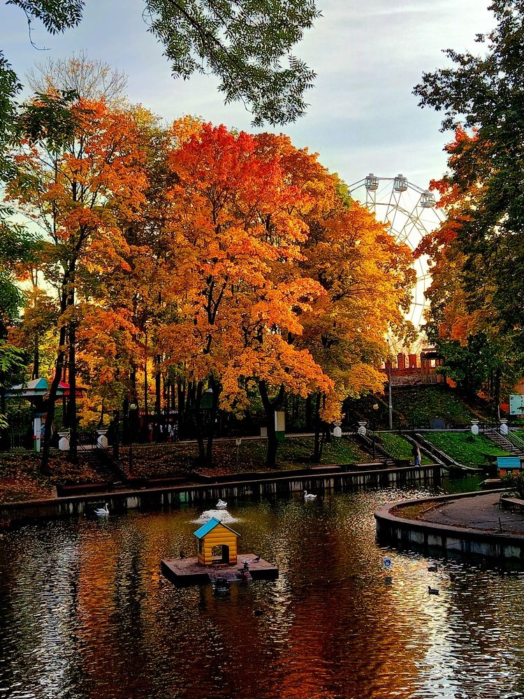 Photograph by Ольга Юрченко