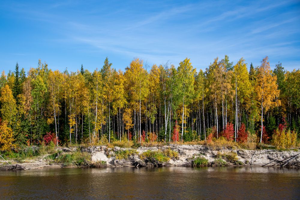 Photograph by Кадырова Марина