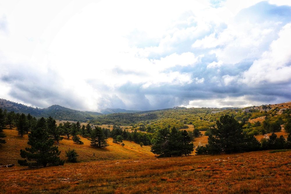 Осенний пейзаж