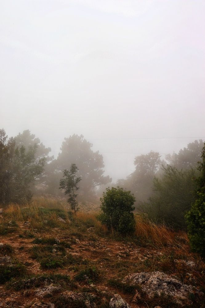 Осень в лесу