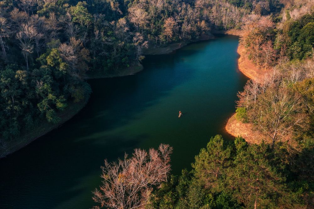 Фотография автора Lien Vu