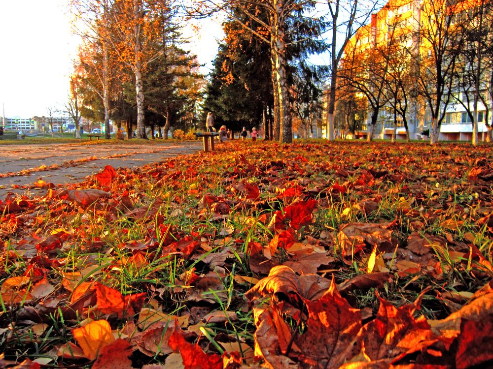 Фотография автора Всеволод