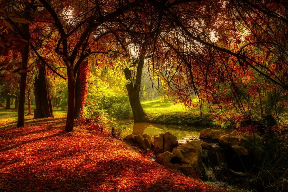 Photograph by Dragos Ivanel