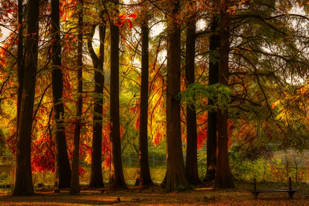 Photograph by Dragos Ivanel