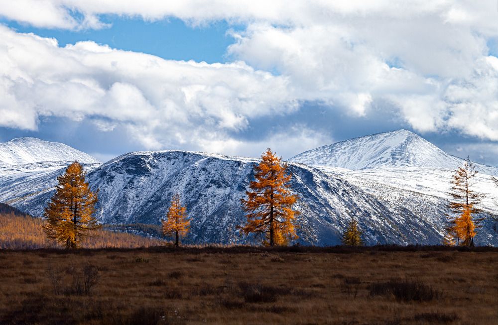 Photograph by Ксения Никифорова
