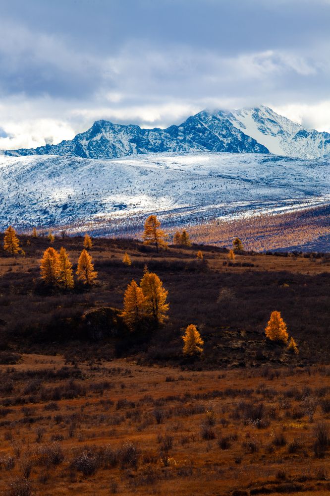 Photograph by Ксения Никифорова