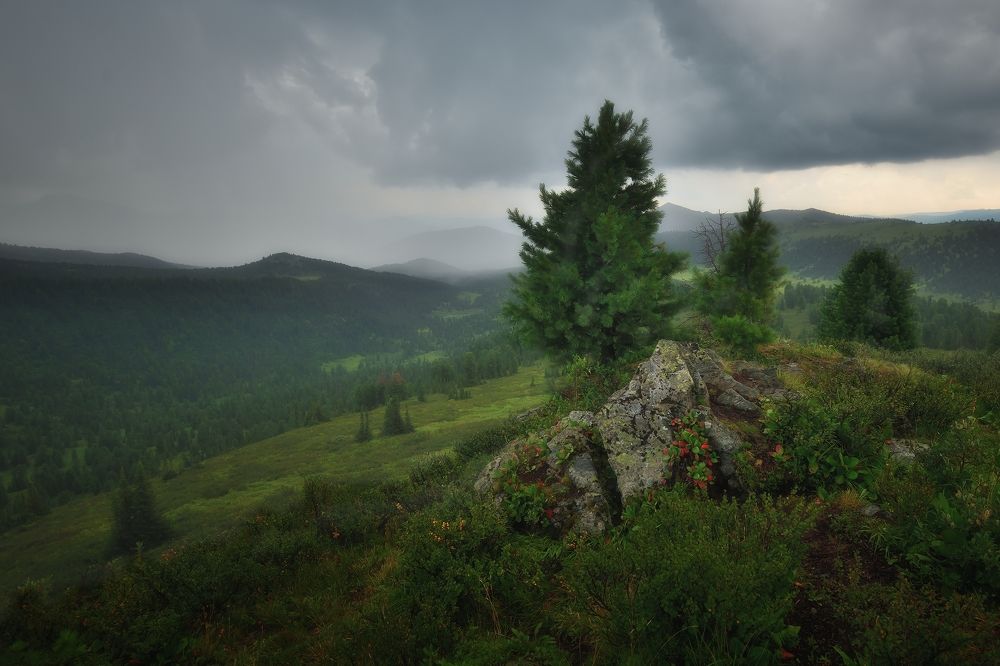 Photograph by Алексей Никонов