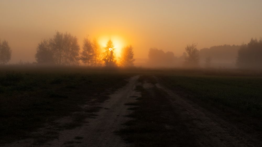 Photograph by Игорь Криулин