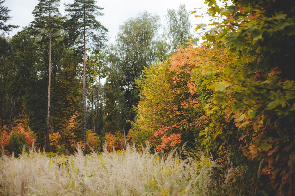 Photograph by Зенченко Алексей