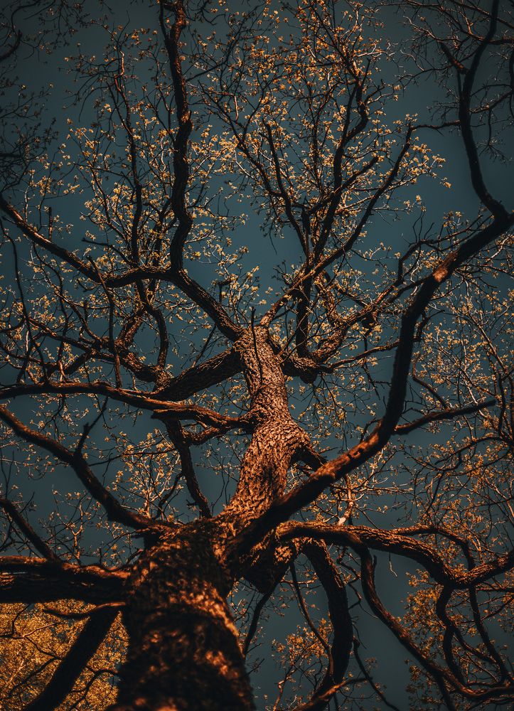 Photograph by Зенченко Алексей