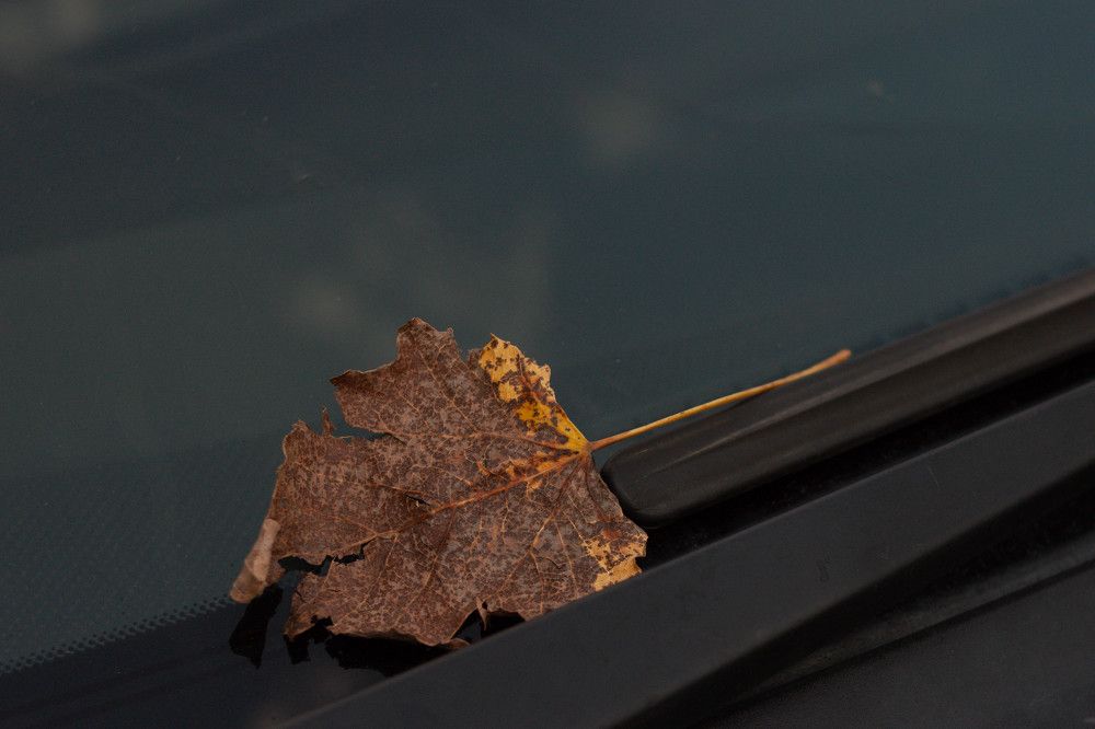 Photograph by Елена Казаренко