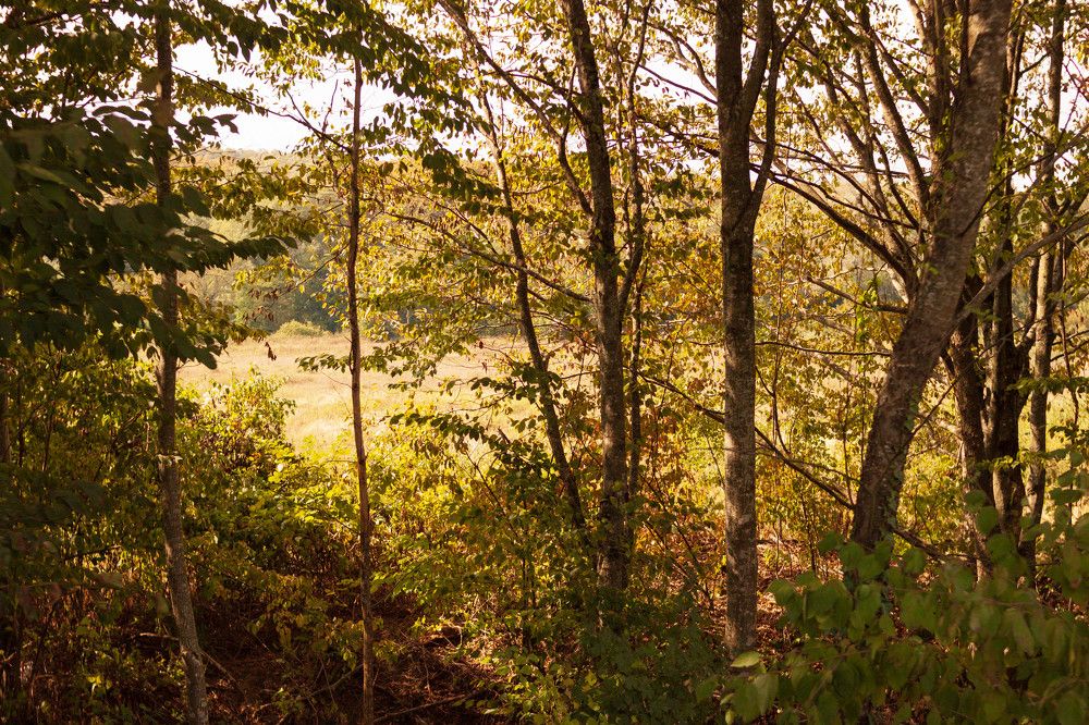 Photograph by Елена Казаренко