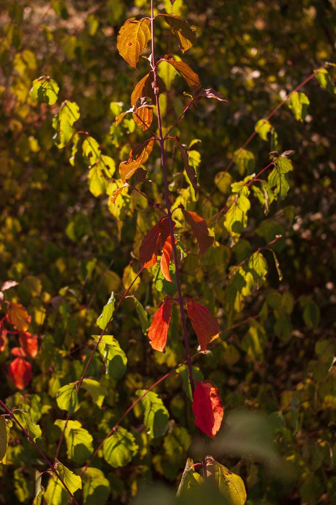 Photograph by Елена Казаренко