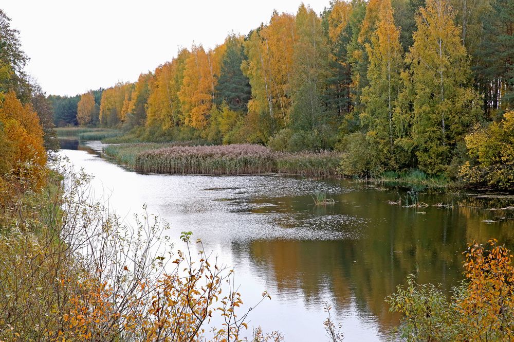 Фотография автора Николай Семенец