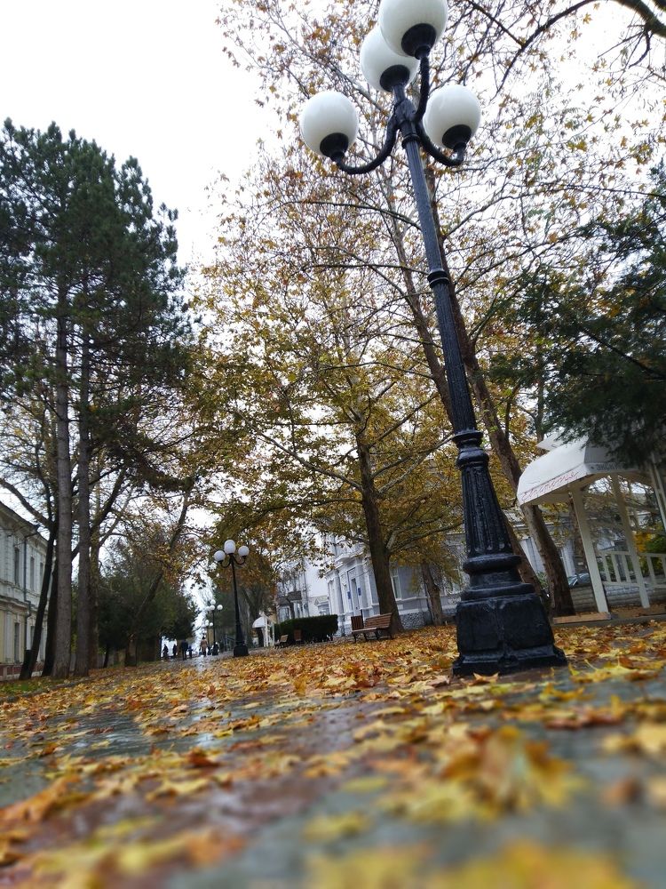 Фотография автора Анатолий Дячина