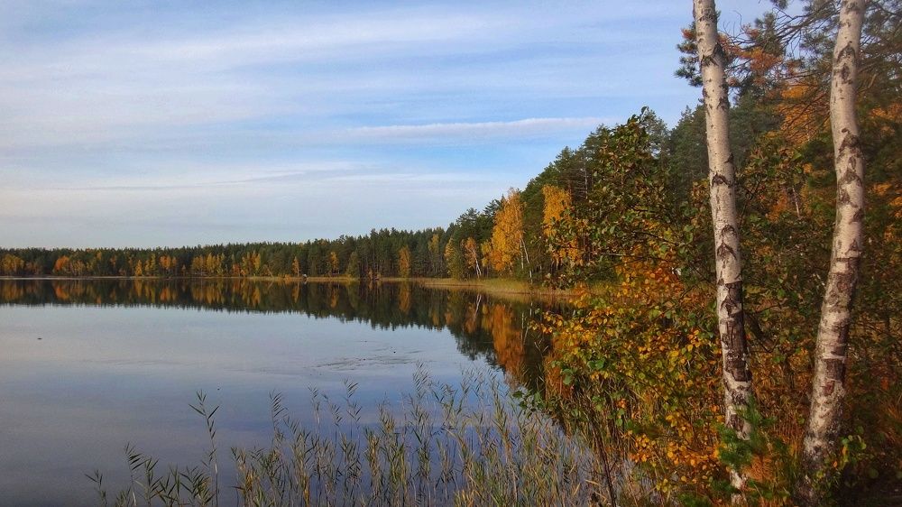 Photograph by Елена Силантьева