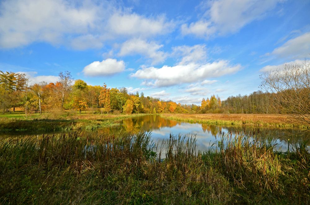 Фотография автора Антип