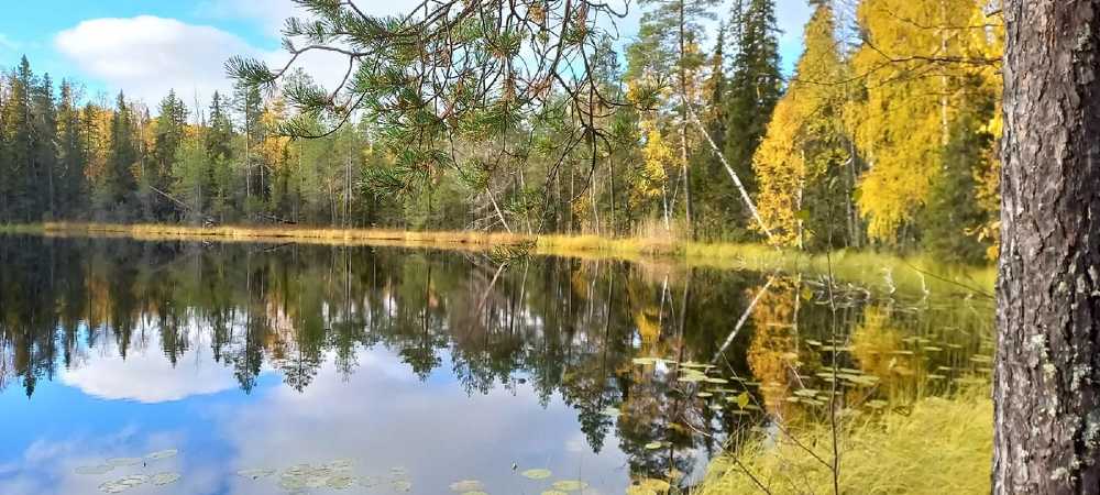 Photograph by Виктор Бута