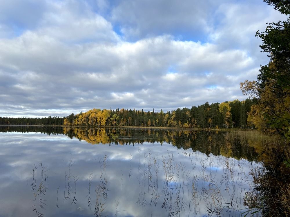 Photograph by Виктор Бута