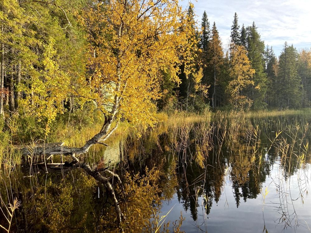 Photograph by Виктор Бута