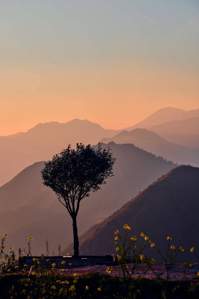 Photograph by Duc Nguyen