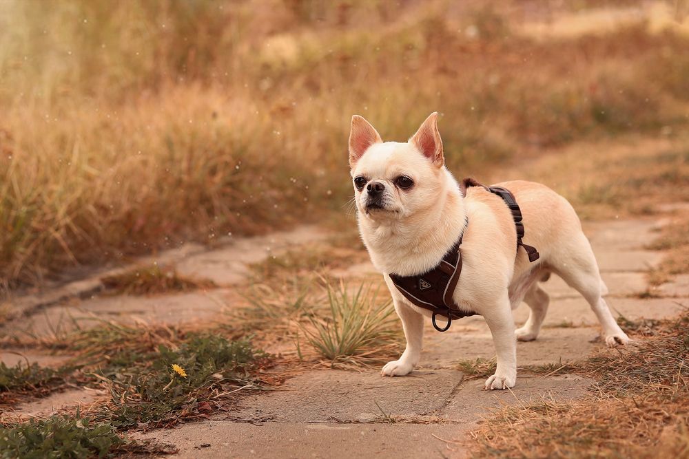 Photograph by Mary Ryzhenkova