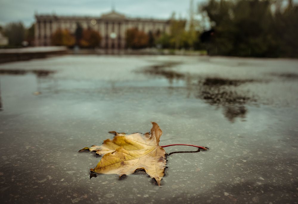 Photograph by Павел Галивец