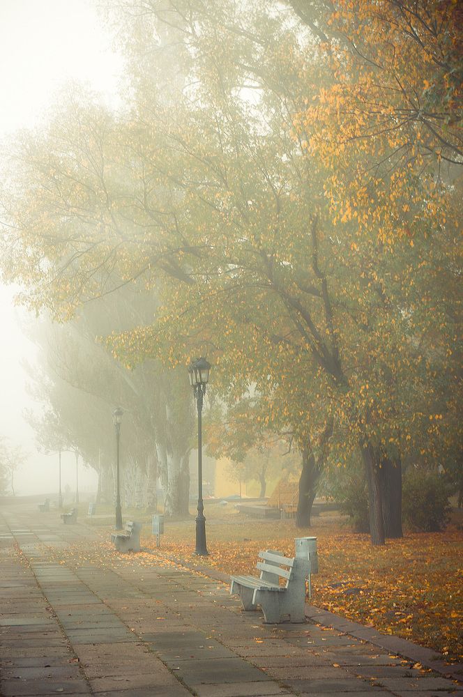 Photograph by Павел Галивец