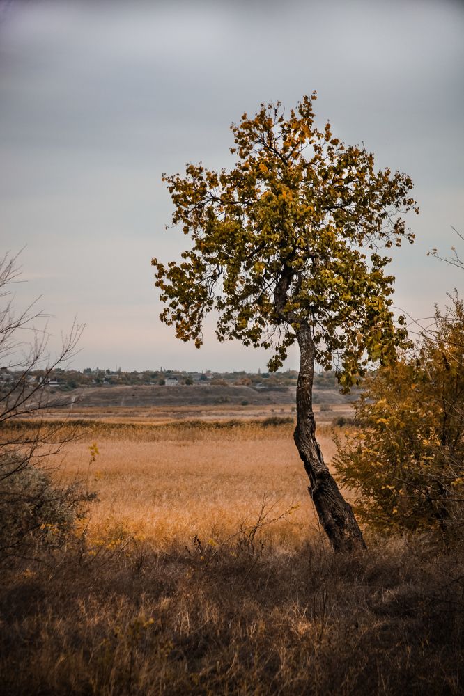 Photograph by Павел Галивец