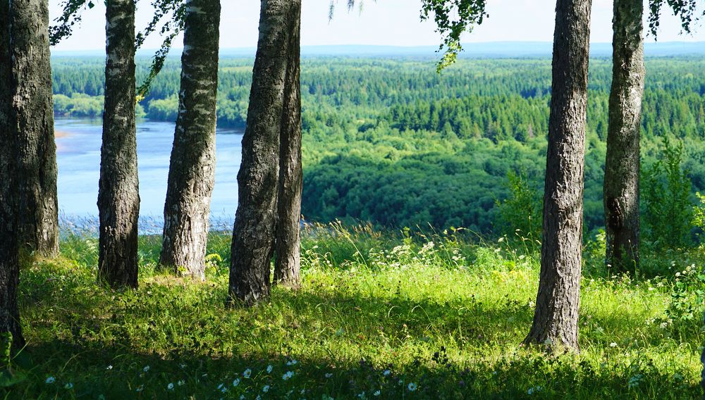 Photograph by Блюмина Елена